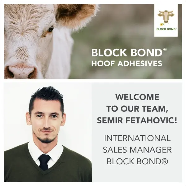 Nowy w zespole: Semir Fetahovic